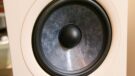 Focal Chora 806