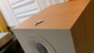 Focal Chora 806
