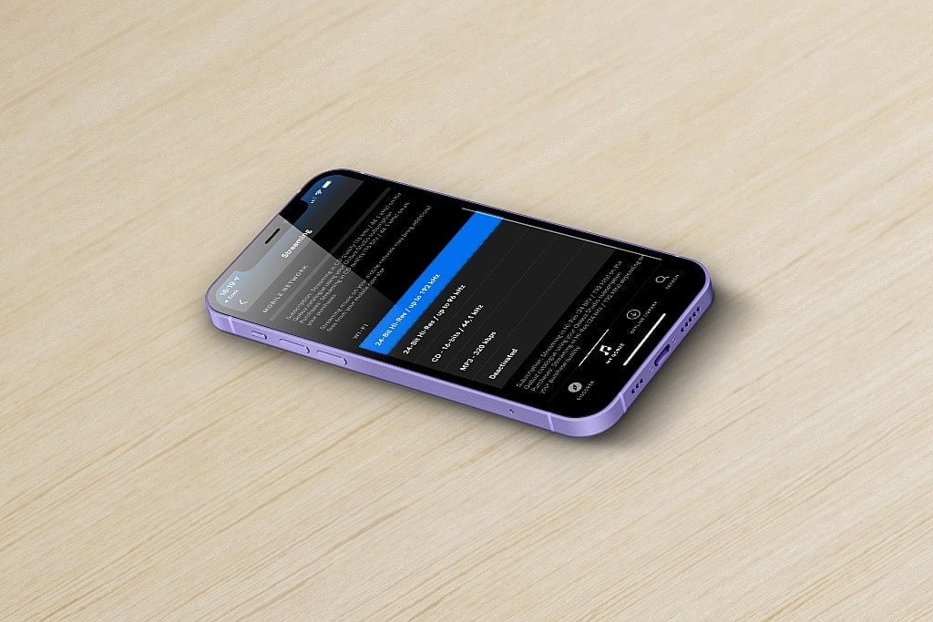 portable DAC portable DAC