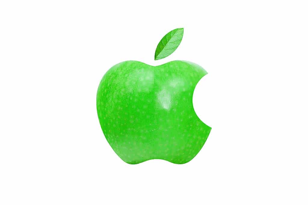 Apple Apple