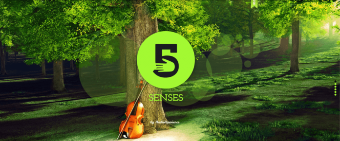 5senses AudioXperience - 5 senses