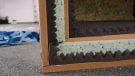 Alpha Soundbox of Death