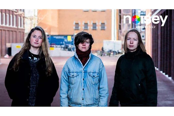 Dakota Eerste en laatste album van Dakota verschenen