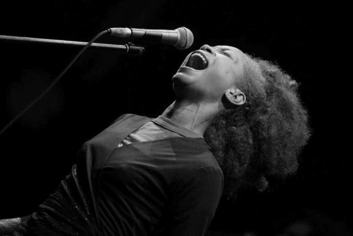Erykah_Badu_FEP Erykah Badu