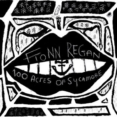 Fionn Regan 100 acres of sycamore