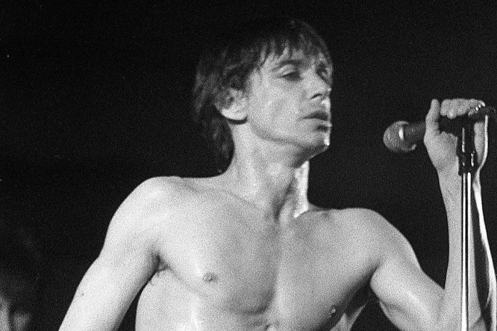 Iggy Iggy Pop tijdens een concert in Paradiso in 1979. Foto: Martijn de Jonge