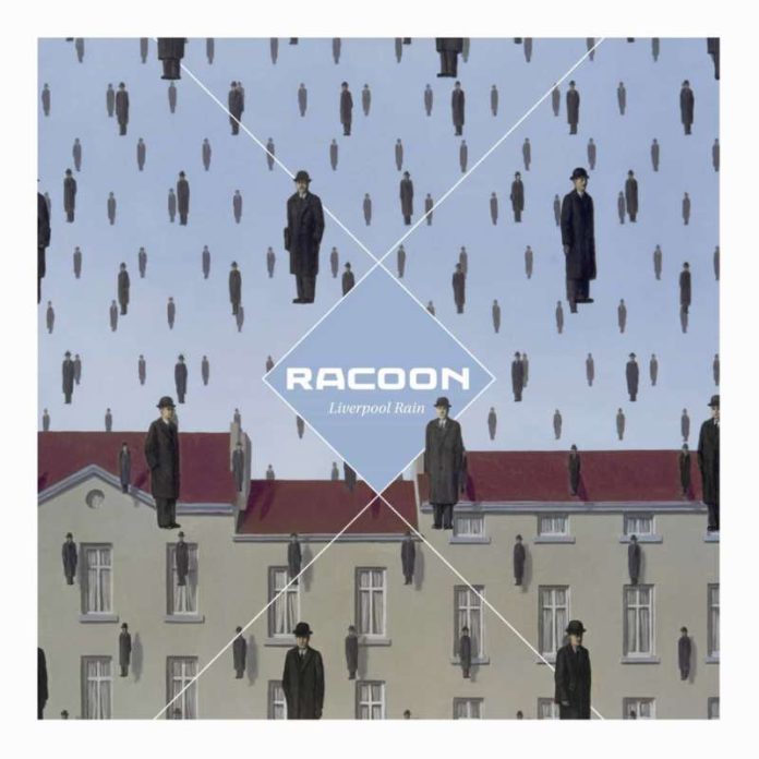 Racoon-Liverpool-Rain