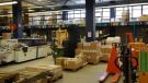 Record Industries - inpakken en labelen