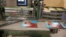 Record Industries - inpakken en labelen