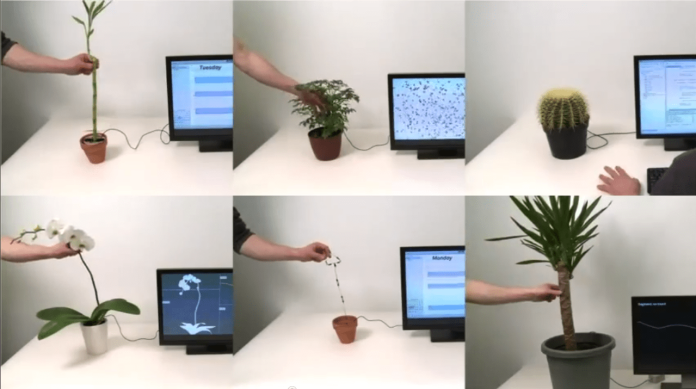 Touchplant