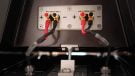 Wilson Audio Alexia Series 2