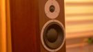 Dynaudio Excite X18