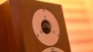 Dynaudio Excite X18