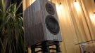 Dynaudio Special Forty