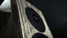 Dynaudio Special Forty