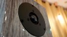 Dynaudio Special Forty