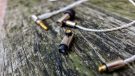Final Audio E5000 in-ear
