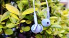 Libratone Q Adapt