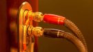 Monitor Audio Gold 100