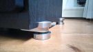 paradigm-prestige-1000sw-subwoofer