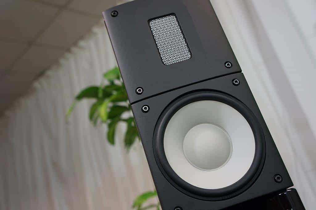 Raidho X1 monitor speaker
