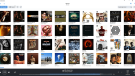 Roon- Albums