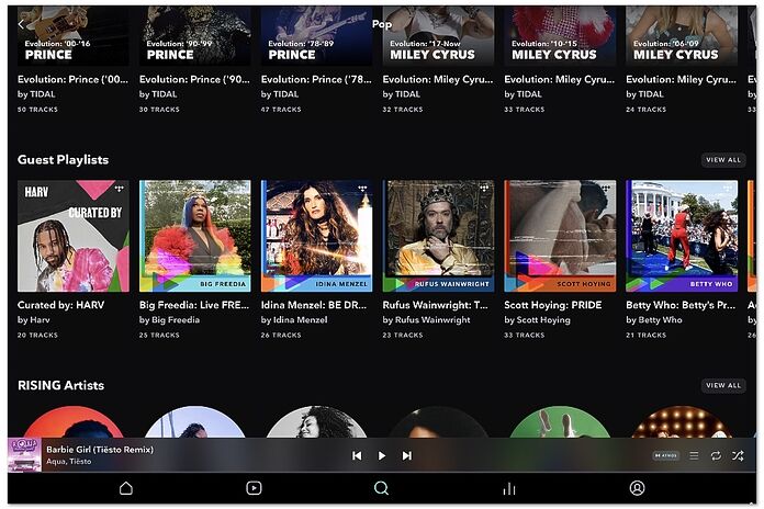 Tidal Tidal