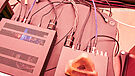 AudioMaat Mway BNC