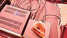 Audioquest Carbon