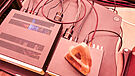 Audioquest Cinnamon
