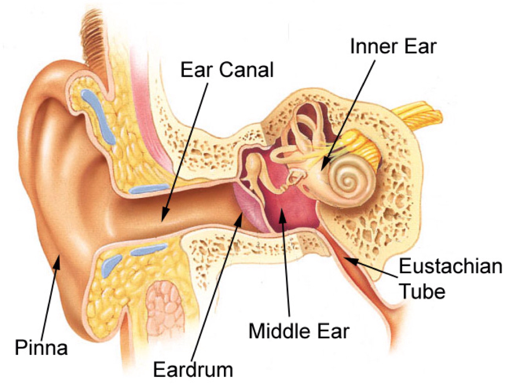 Our best measuring tool: our own ears?