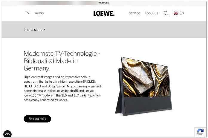 Loewe Iconic Collection Loewe Iconic Collection