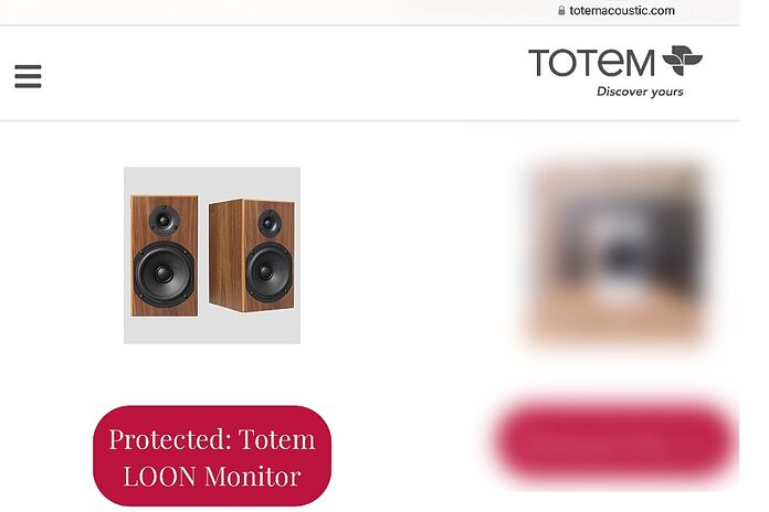 Totem Acoustics Loon Totem Acoustics Loon