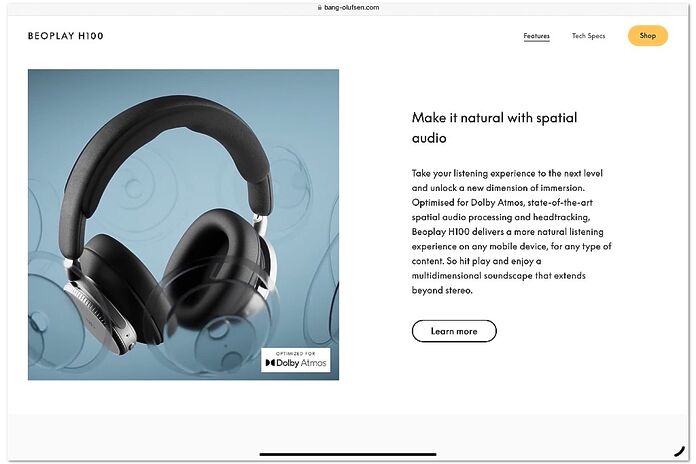 Bang & Olufsen Beoplay H100 Bang & Olufsen Beoplay H100
