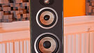 Focal Aria Evo X N4 (4)