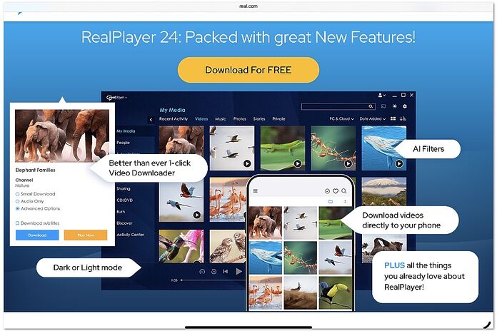 RealAudio RealAudio