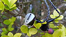 Kiwi Ears AirSolo