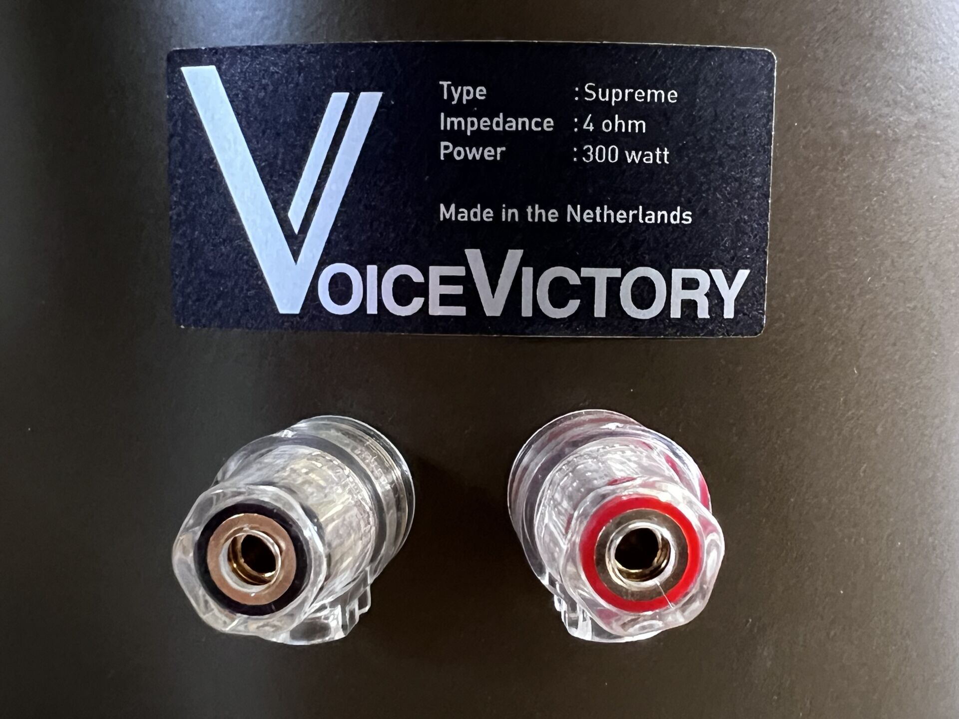 Review Voice Victory with Hypex Nilai and Eversolo A8 - Alpha Audio