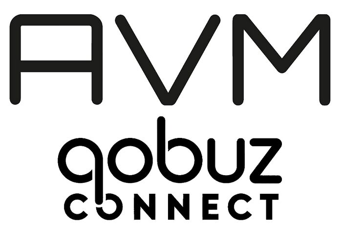 AVM AVM