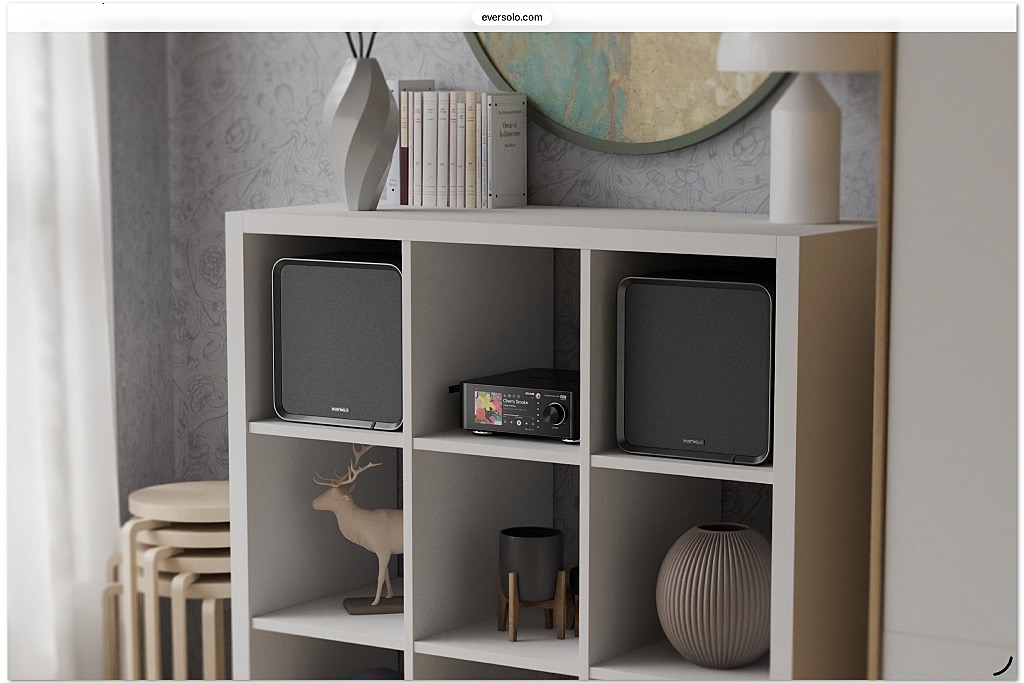 Eversolo SE100 passive loudspeakers Eversolo SE100 passive loudspeakers